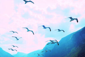 エリキュース錠5ｍｇとカルベジロール2.5ｍｇ パート２の⑫　