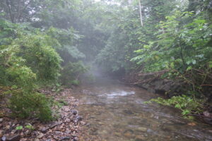 アブレーションに失敗はないか？覚悟を決めます。⑨