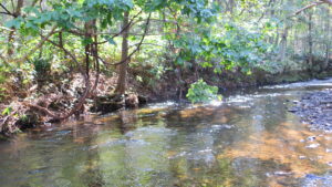 アブレーション手術日が決まったら、次なる難関。⑪