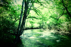 絶対安静始まりました。 ⑯