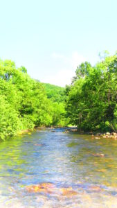 退院しました。知らない街を歩く　⑰