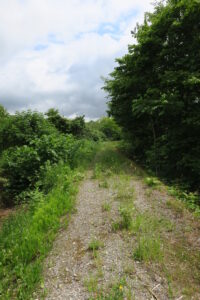 合併症はどんなものがあるか、パート２の⑤　