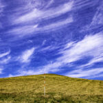 不整脈の初期は期外収縮、ドキッとします。