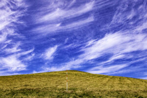 不整脈の初期は期外収縮、ドキッとします。