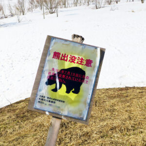 持続性心房細動にも保険が適応に、カテーテルアブレーション 保険