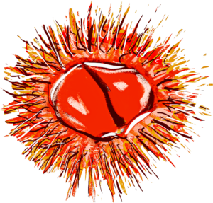 再発はあるか。